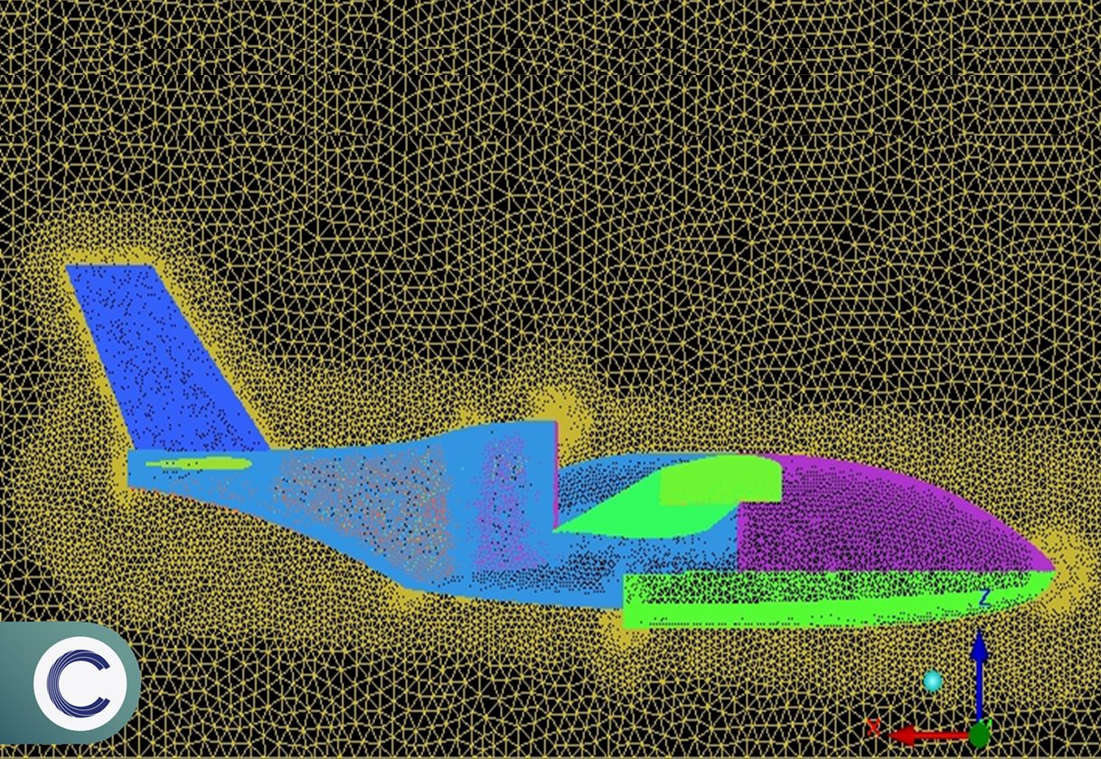 Computational fluid dynamics simulation mesh of the aircraft