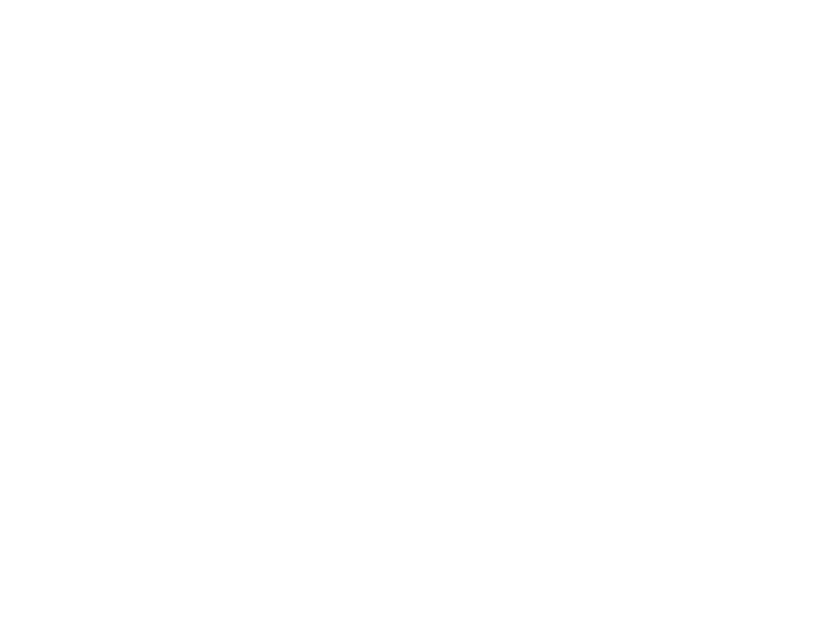 Saluqi Motors